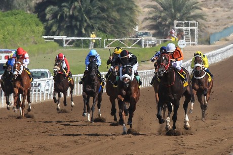 Dubai Horse Racing, Jebel Ali Racecourse, Dubai, United Arab Emirates