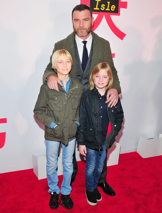 750 Son of liev schreiber and naomi watts Stock Pictures, Editorial ...