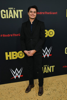 'Andre The Giant' film premiere, Arrivals, Los Angeles, USA - 29 Mar 2018