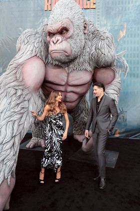 Sofia Vergara Joe Manganiello Editorial Stock Photo - Stock Image