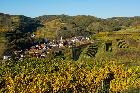 Village Vineyards Autumn Schelingen Kaiserstuhl Badenwuerttemberg ...