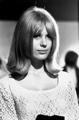 Marianne Faithfull 1964 Editorial Stock Photo - Stock Image | Shutterstock