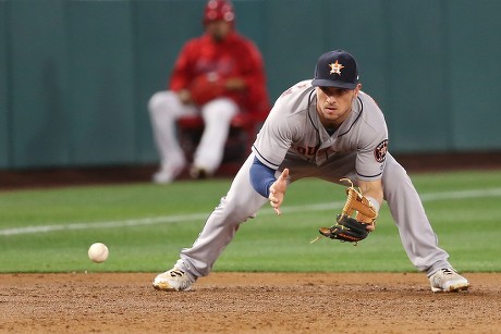 Houston Astros Third Baseman Alex Bregman Editorial Stock Photo - Stock ...