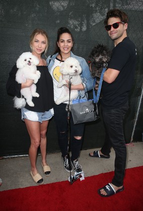 3rd Annual World Dog Day, Los Angeles, USA - 19 May 2018