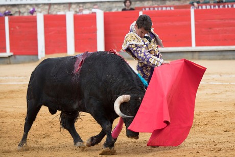 Spring Bullfight at Brihuega Bullring, Guadalajara, Spain - 19 May 2018