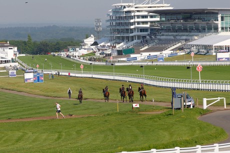 Michael Attwater String Excercising On Track Editorial Stock Photo ...