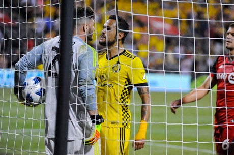 Toronto FC on X: Our guy @Alex25Bono rocking the new goalkeeper kit.  Whaddaya guys think? #TFCLive  / X