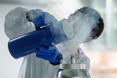 500 Atomic scientist Stock Pictures, Editorial Images and Stock Photos