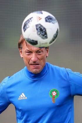 Herve Renard Editorial Stock Photo - Stock Image | Shutterstock