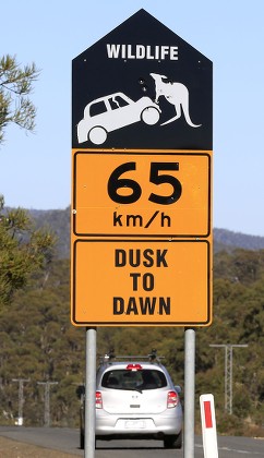 Road Sign Warning Wildlife Setting Dusk Editorial Stock Photo - Stock ...