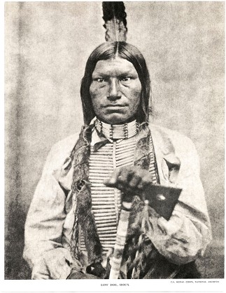 Low Dog 184694 Oglala Sioux Chief Editorial Stock Photo - Stock Image ...