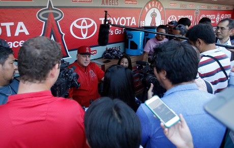 4,395 Mike Scioscia Photos & High Res Pictures - Getty Images