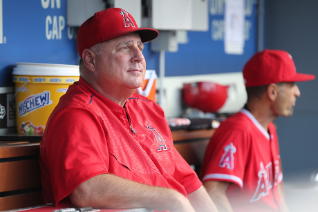 2,789 Coach Mike Scioscia Stock Photos, High-Res Pictures, and Images -  Getty Images