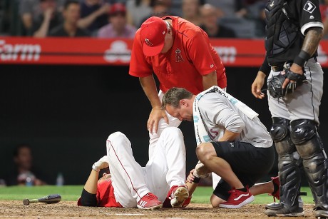 2,864 Boss Mike Scioscia Stock Photos, High-Res Pictures, and Images -  Getty Images