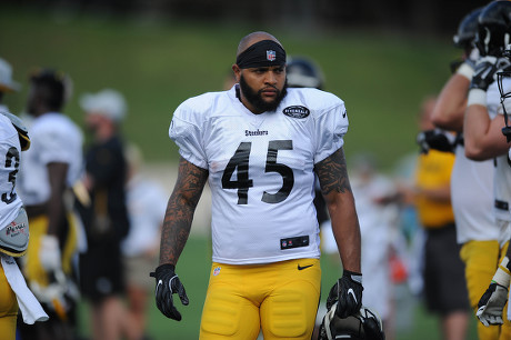 Th Steelers Roosevelt Nix 45 During Editorial Stock Photo - Stock