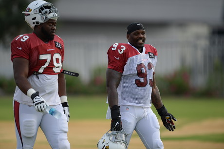 NFL Arizona Cardinals Training Camp Editorial Photography - Image