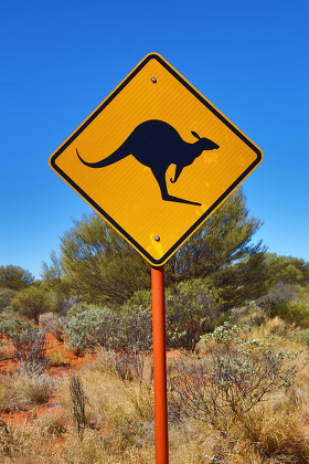 Yellow Kangaroo Wildife Warning Sign Uluru Editorial Stock Photo ...