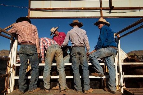 71st annual Harts Range Races and Rodeo, Alice Springs, Australia - 04 Aug 2018