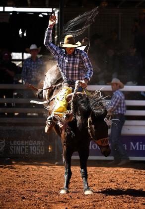 Rodeo Spectator Vern Daisy Palm Island Editorial Stock Photo - Stock ...