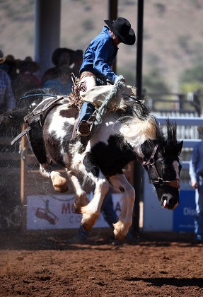 Rodeo Spectator Vern Daisy Palm Island Editorial Stock Photo - Stock ...