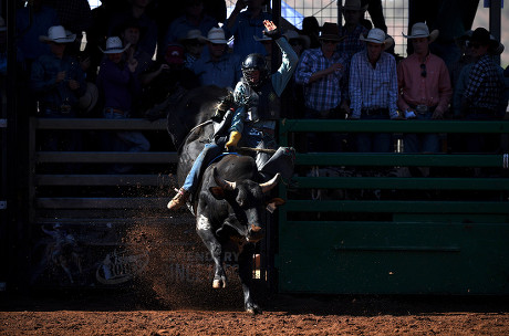 Rodeo Spectator Vern Daisy Palm Island Editorial Stock Photo - Stock ...