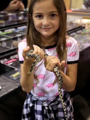 Girl Holds Snake During Reptile Super Editorial Stock Photo - Stock