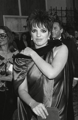 Liza Minnelli Editorial Stock Photo - Stock Image | Shutterstock