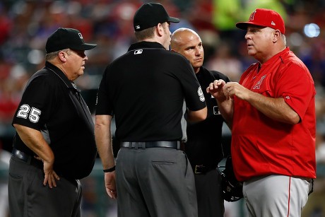 Mike Scioscia Photostream  Los angeles angels, Angels baseball, Best  baseball player