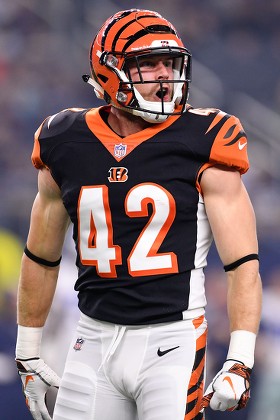 Cincinnati Bengals Safety Clayton Fejedelem 42 Editorial Stock Photo -  Stock Image