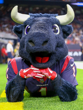 Toro Houston Texans Mascot On Field Editorial Stock Photo - Stock Image