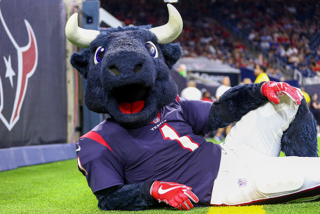 Houston Texans Mascot Toro Poses Photo Editorial Stock Photo - Stock Image