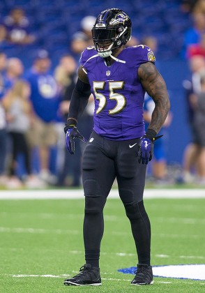 55 baltimore ravens