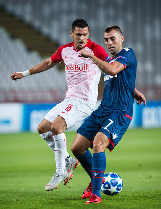 Red Star Belgrade vs Salzburg - Champions League - Preview