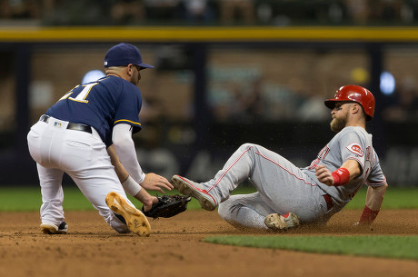 Catcher #16 Tucker Barnhart  Cincinnati reds baseball, Cincinnati