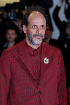 Luca Guadagnino Editorial Stock Photo - Stock Image | Shutterstock