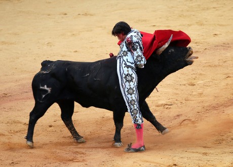 Peruvian Bullfighter Roca Rey Fights Bull Editorial Stock Photo - Stock