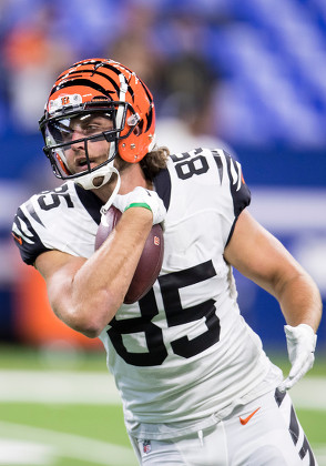 Cincinnati Bengals Tight End Tyler Eifert Editorial Stock Photo