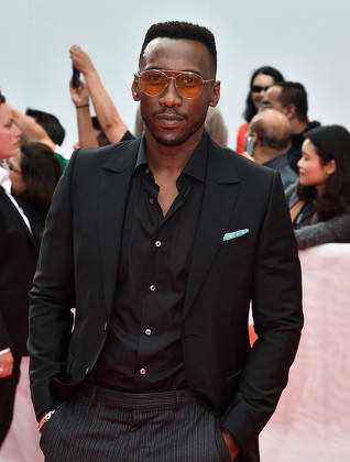 MAHERSHALA ALI Editorial Stock Photo - Stock Image | Shutterstock