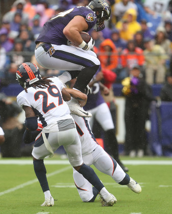 Baltimore Ravens Te Mark Andrews 89 Editorial Stock Photo - Stock Image