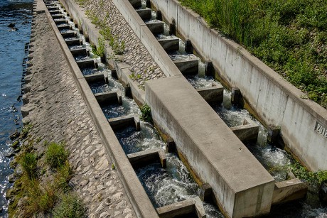 250 Fish ladder Stock Pictures, Editorial Images and Stock Photos ...