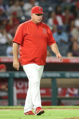 750 Mike scioscia Stock Pictures, Editorial Images and Stock Photos