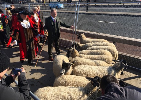 Worshipful Company of Woolmen, Sheep Drive over London Bridge, UK - 30 ...