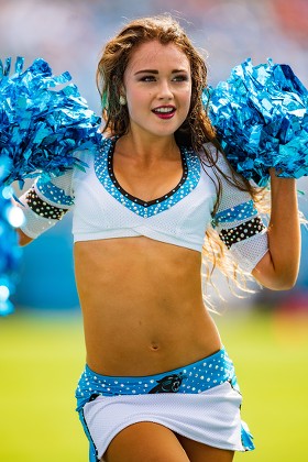 Carolina Panthers Cheerleader During Nfl Football Editorial Stock Photo -  Stock Image