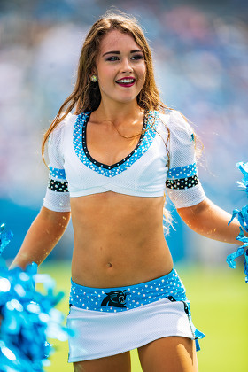 Carolina Panthers Cheerleader During Nfl Football Editorial Stock Photo -  Stock Image