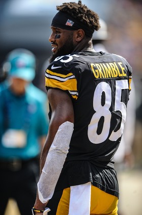 Th Steelers 85 Xavier Grimble During Editorial Stock Photo - Stock