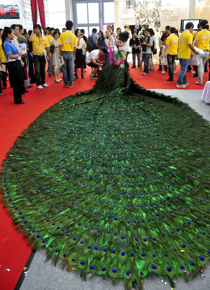 dress made of peacock feathers