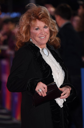 Lynda La Plante Editorial Stock Photo Stock Image Shutterstock
