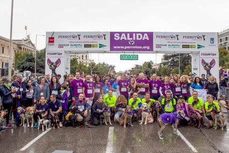 Perroton Charity Dog Race, Madrid, Spain - 14 Oct 2018