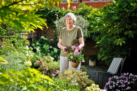 41 Penelope lively Stock Pictures, Editorial Images and Stock Photos
