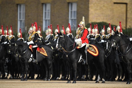 Welcome to the Household Cavalry